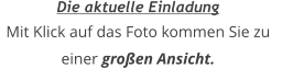 Die aktuelle Einladung Mit Klick auf das Foto kommen Sie zu einer großen Ansicht.